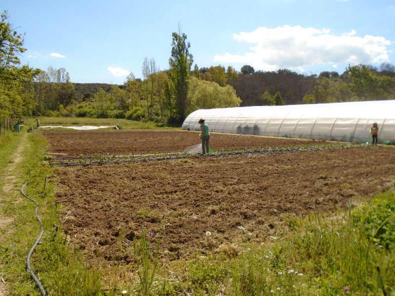 huerta otoño_9