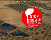 Stop Ganadería industrial